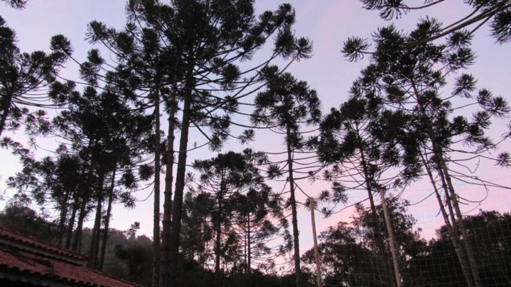 Chacara Capucho & Macedo Villa Cunha Bagian luar foto